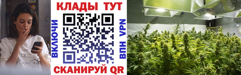 Купить закладку Alpha-PVP  МЕФ  Гашиш  Волгоград