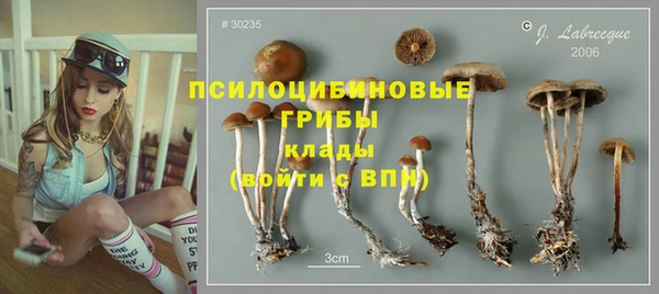 тгк Лиски