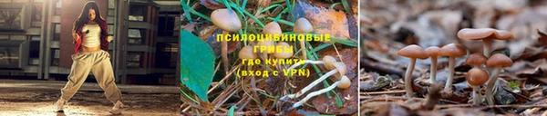 тгк Лиски