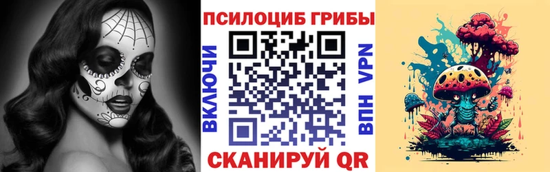 Купить где  Волгоград  Галлюциногенные грибы MAGIC MUSHROOMS 